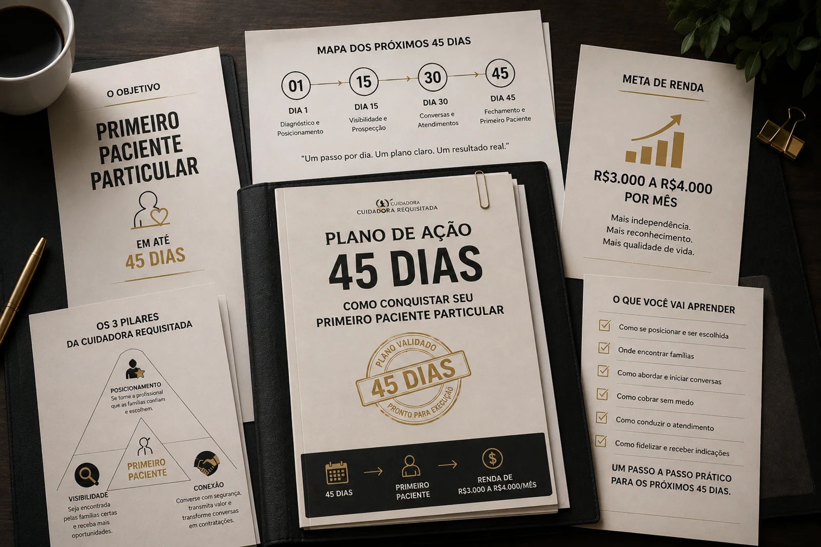Plano de Ação 45 Dias - método exclusivo Cuidadora Requisitada